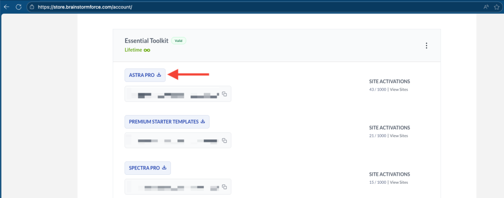Astra Pro Download from Brainstorm Force Store