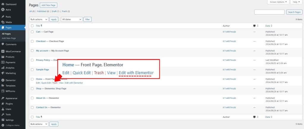 Home Page Edit With Elementor