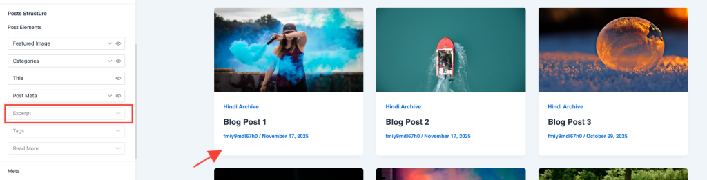 Disable excerpt on blog/archive